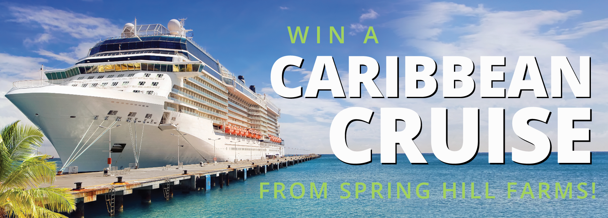 Cruise2